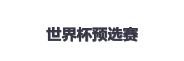世界杯预选赛