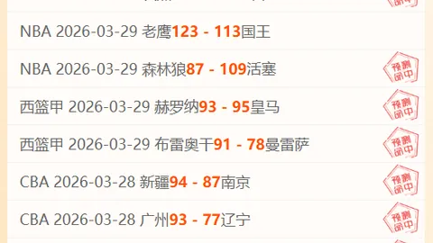 “NBA常规赛：黄蜂败给猛龙”